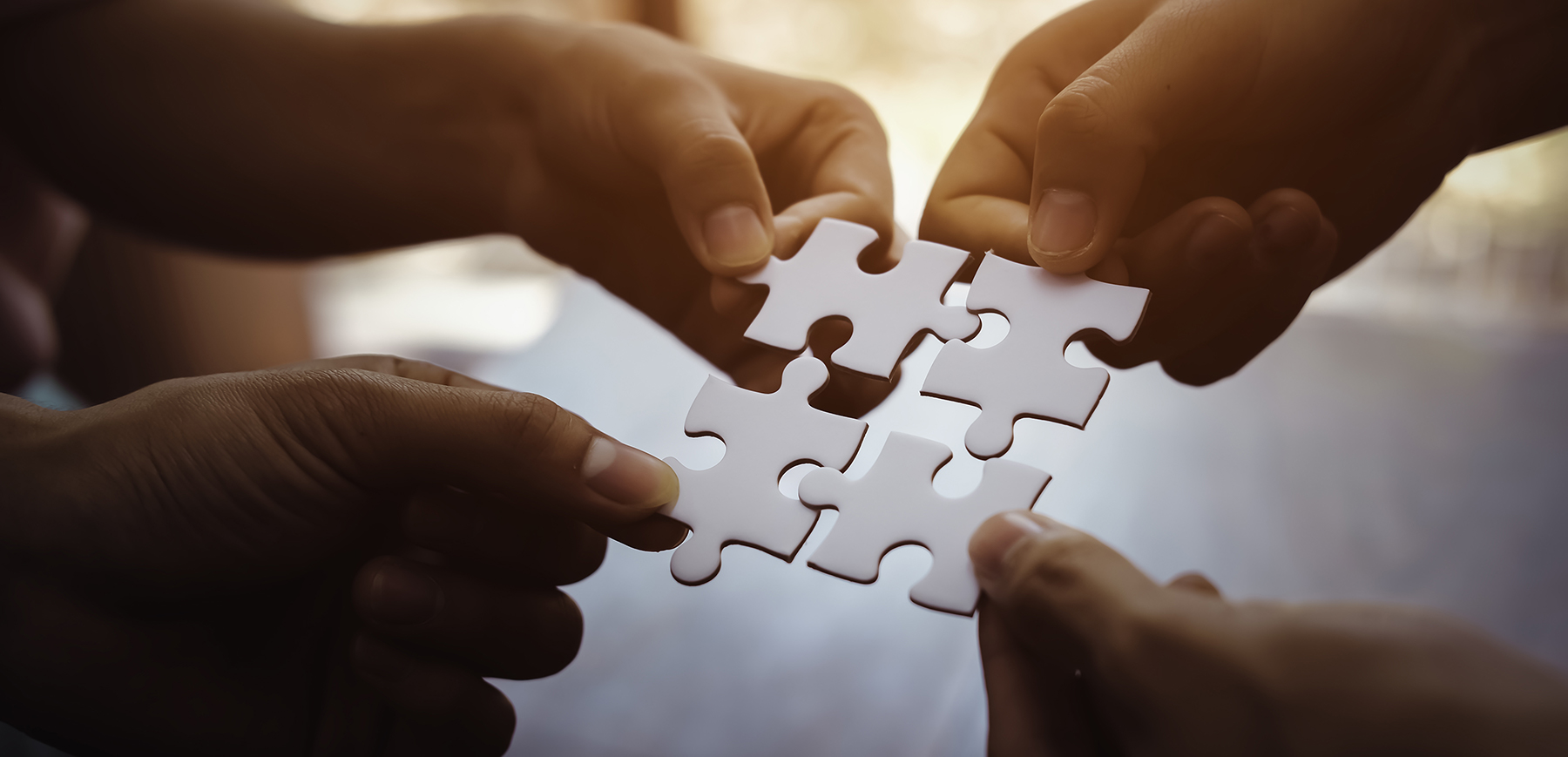 Pieces of a jigsaw